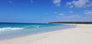 IMG_20191120_142710 L